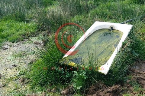 Farm i Chaves, Vila Real, Chaves - € 65.000 | Ref: CM01-0083 - foto 7