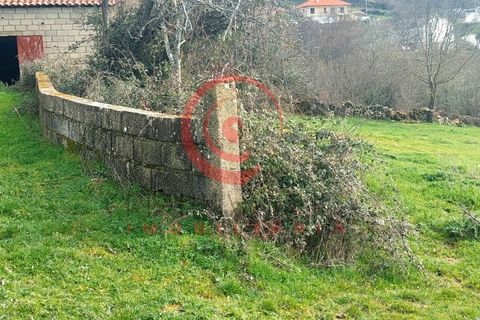 Farm i Chaves, Vila Real, Chaves - € 65.000 | Ref: CM01-0083 - foto 8