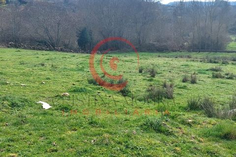 Farm i Chaves, Vila Real, Chaves - € 65.000 | Ref: CM01-0083 - foto 9
