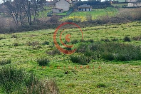Farm i Chaves, Vila Real, Chaves - € 65.000 | Ref: CM01-0083 - foto 10