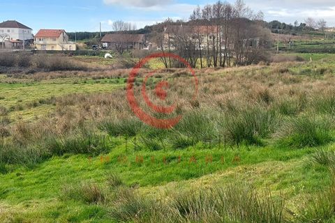 Farm i Chaves, Vila Real, Chaves - € 65.000 | Ref: CM01-0083 - foto 11
