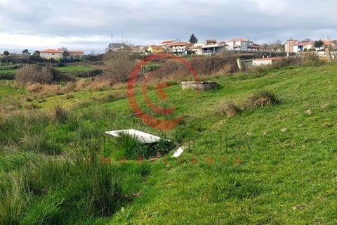 Farm i Chaves, Vila Real, Chaves - € 65.000 | Ref: CM01-0083 - foto 12