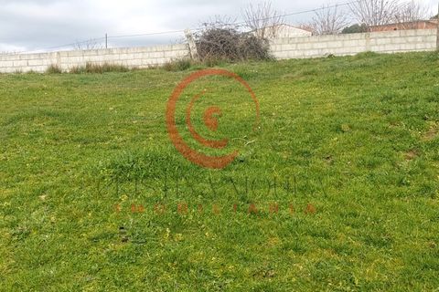 Farm i Chaves, Vila Real, Chaves - € 65.000 | Ref: CM01-0083 - foto 13