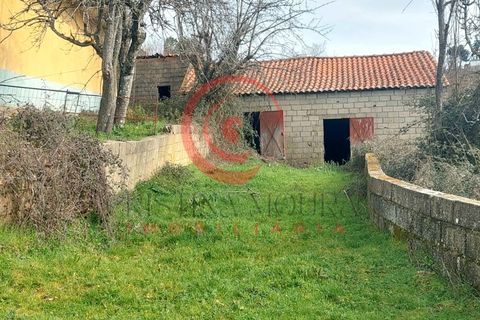 Farm i Chaves, Vila Real, Chaves - € 65.000 | Ref: CM01-0083 - foto 15