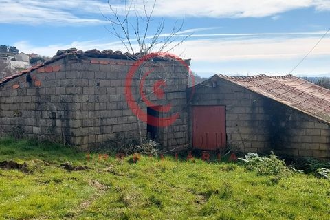 Farm i Chaves, Vila Real, Chaves - € 65.000 | Ref: CM01-0083 - foto 17