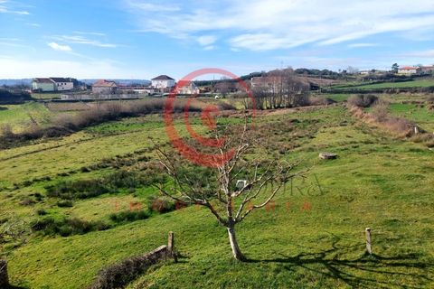 Farm i Chaves, Vila Real, Chaves - € 65.000 | Ref: CM01-0083 - foto 24