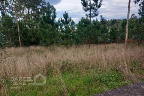 Helårsgrund i Barcelos, Braga, Barcelos - € 199.000 | Ref: 102/25 - foto 3