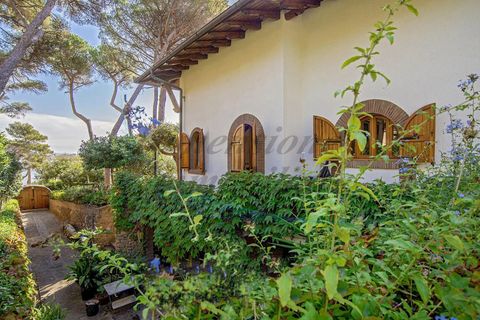 Villa i Rosignano Marittimo, Livorno, Rosignano Marittimo - € 1.600.000 | Ref: 1767 - foto 9