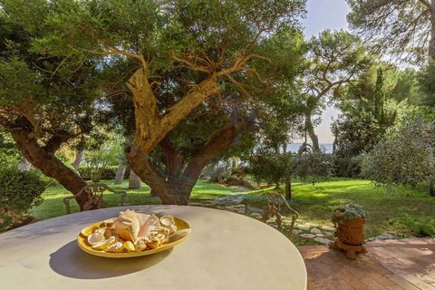 Villa i Rosignano Marittimo, Livorno, Rosignano Marittimo - € 1.600.000 | Ref: 1767 - foto 11