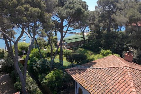 Villa i Rosignano Marittimo, Livorno, Rosignano Marittimo - € 1.600.000 | Ref: 1767 - foto 18