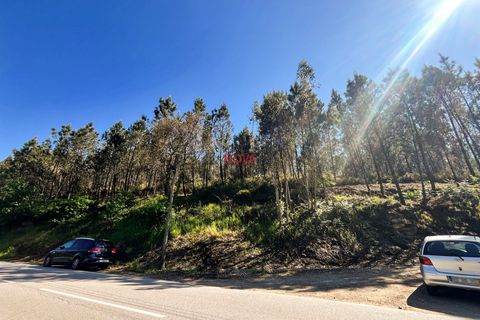 Helårsgrund i Trofa, Porto, Trofa - € 50.000 | Ref: NOVA-ER-2245 - foto 2