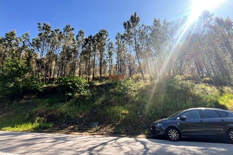 Helårsgrund i Trofa, Porto, Trofa - € 50.000 | Ref: NOVA-ER-2245 - foto 3