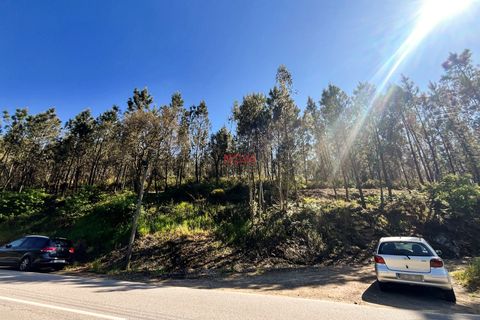 Helårsgrund i Trofa, Porto, Trofa - € 50.000 | Ref: NOVA-ER-2245 - foto 4