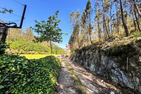Helårsgrund i Trofa, Porto, Trofa - € 50.000 | Ref: NOVA-ER-2245 - foto 6
