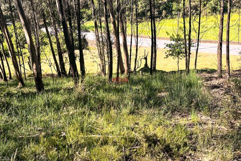 Helårsgrund i Trofa, Porto, Trofa - € 50.000 | Ref: NOVA-ER-2245 - foto 7