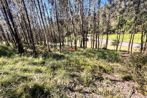 Helårsgrund i Trofa, Porto, Trofa - € 50.000 | Ref: NOVA-ER-2245 - foto 11