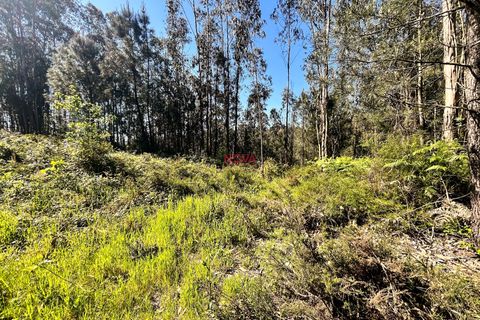 Helårsgrund i Trofa, Porto, Trofa - € 50.000 | Ref: NOVA-ER-2245 - foto 13