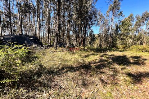 Helårsgrund i Trofa, Porto, Trofa - € 50.000 | Ref: NOVA-ER-2245 - foto 14