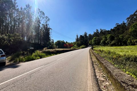 Helårsgrund i Trofa, Porto, Trofa - € 50.000 | Ref: NOVA-ER-2245 - foto 15