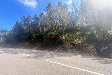 Helårsgrund i Trofa, Porto, Trofa - € 50.000 | Ref: NOVA-ER-2245 - foto 1