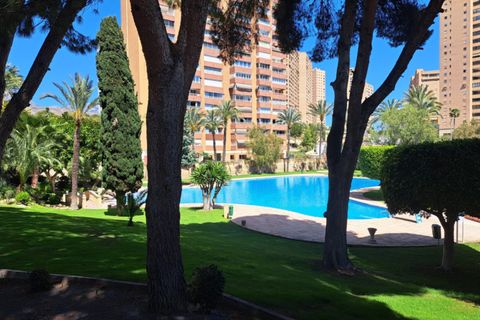 Lejlighed i Benidorm, Alicante, Benidorm - € 490.000 | Ref: NO5492 - foto 21