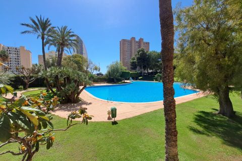 Lejlighed i Benidorm, Alicante, Benidorm - € 490.000 | Ref: NO5492 - foto 25