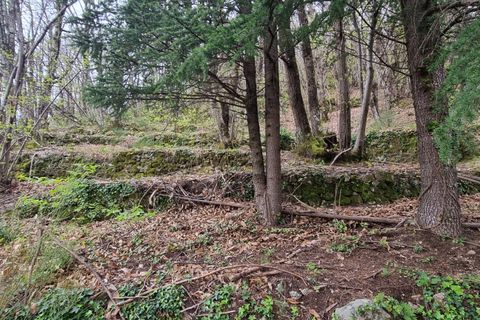 Villa a Mandagout, Gard, Mandagout - € 250.000 | Ref: 1440 - foto 9