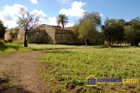 Landejendom i Noto, Siracusa, Noto - € 8.000 | Ref: ECR-19 - foto 2
