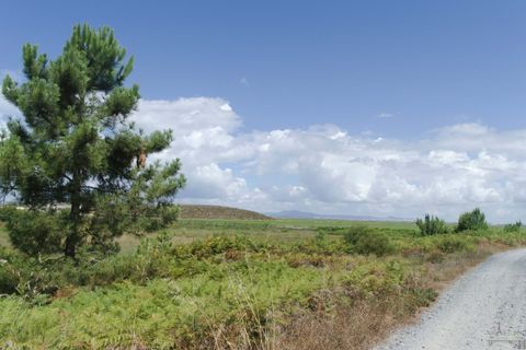 Helårsgrund i Comporta, Setubal, Comporta - € 990.000 | Ref: AM121-T - foto 9