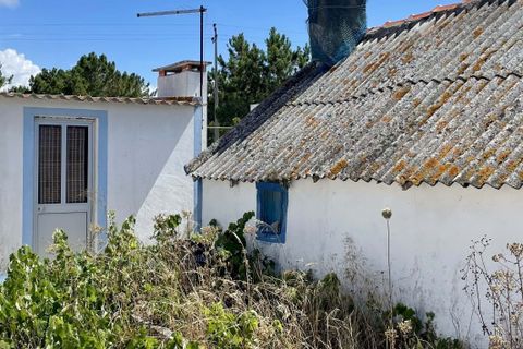 Helårsgrund i Comporta, Setubal, Comporta - € 990.000 | Ref: AM121-T - foto 10