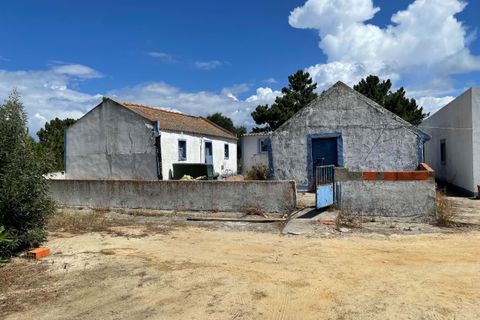 Helårsgrund i Comporta, Setubal, Comporta - € 990.000 | Ref: AM121-T - foto 12