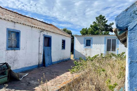 Helårsgrund i Comporta, Setubal, Comporta - € 990.000 | Ref: AM121-T - foto 14