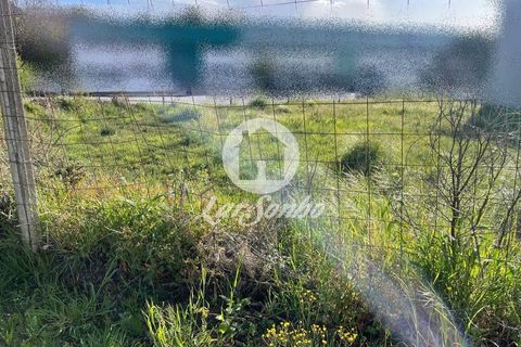 Helårsgrund i Trofa, Porto, Trofa - € 235.000 | Ref: 240-T-25677 - foto 4