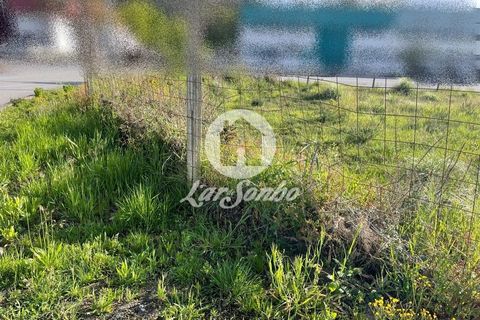 Helårsgrund i Trofa, Porto, Trofa - € 235.000 | Ref: 240-T-25677 - foto 5
