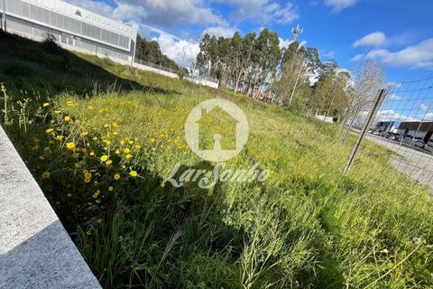 Helårsgrund i Trofa, Porto, Trofa - € 235.000 | Ref: 240-T-25677 - foto 8