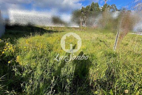 Helårsgrund i Trofa, Porto, Trofa - € 235.000 | Ref: 240-T-25677 - foto 9