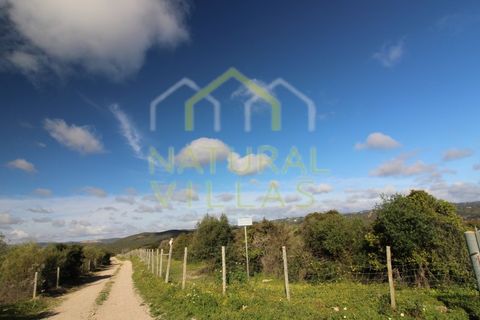 Landejendom i Tavira, Faro, Tavira - € 6.000.000 | Ref: HER_2584_VEND - foto 8