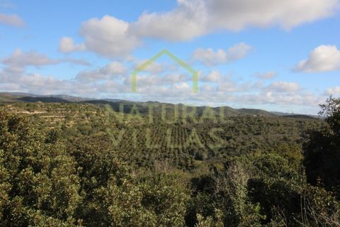 Landejendom i Tavira, Faro, Tavira - € 6.000.000 | Ref: HER_2584_VEND - foto 6
