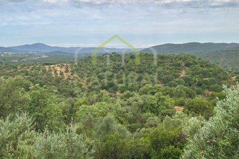 Landejendom i Tavira, Faro, Tavira - € 6.000.000 | Ref: HER_2584_VEND - foto 7