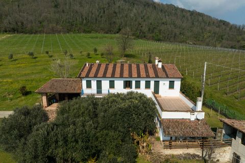 Landejendom i Baone, Padua, Baone - € 550.000 | Ref: RUST 225 - foto 18