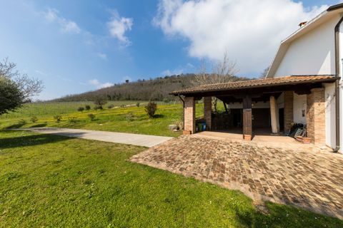 Landejendom i Baone, Padua, Baone - € 550.000 | Ref: RUST 225 - foto 21