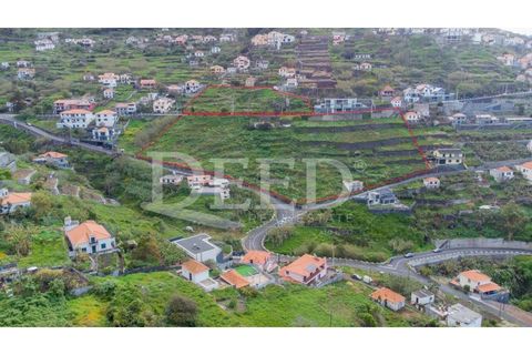 Helårsgrund i Ribeira Brava, Madeira, Ribeira Brava - € 2.520.000 | Ref: DEED/975 - foto 2