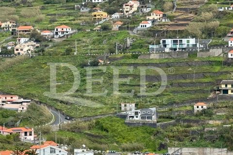Helårsgrund i Ribeira Brava, Madeira, Ribeira Brava - € 2.520.000 | Ref: DEED/975 - foto 3