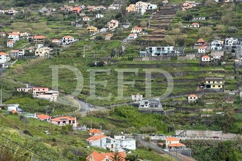 Helårsgrund i Ribeira Brava, Madeira, Ribeira Brava - € 2.520.000 | Ref: DEED/975 - foto 4
