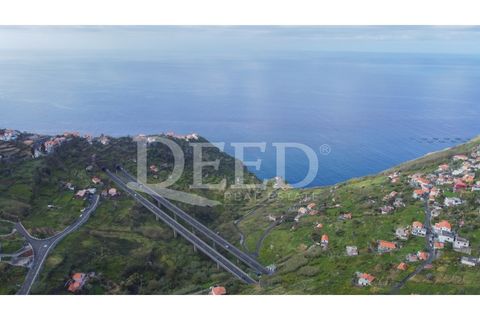 Helårsgrund i Ribeira Brava, Madeira, Ribeira Brava - € 2.520.000 | Ref: DEED/975 - foto 5