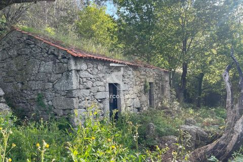 Byhus i Arcos de Valdevez, Viana do Castelo, Arcos de Valdevez - € 47.000 | Ref: AV6307 - foto 6
