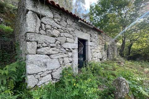 Byhus i Arcos de Valdevez, Viana do Castelo, Arcos de Valdevez - € 47.000 | Ref: AV6307 - foto 8
