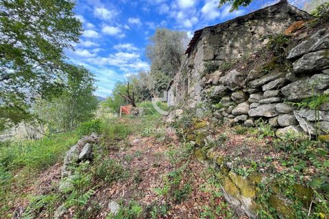 Byhus i Arcos de Valdevez, Viana do Castelo, Arcos de Valdevez - € 47.000 | Ref: AV6307 - foto 11