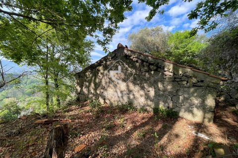 Byhus i Arcos de Valdevez, Viana do Castelo, Arcos de Valdevez - € 47.000 | Ref: AV6307 - foto 12