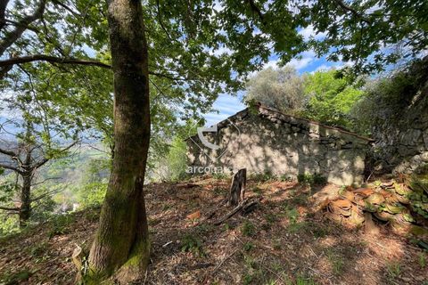 Byhus i Arcos de Valdevez, Viana do Castelo, Arcos de Valdevez - € 47.000 | Ref: AV6307 - foto 13